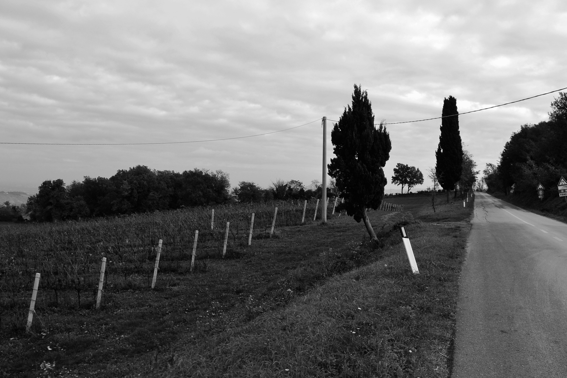 Untitled Photo
