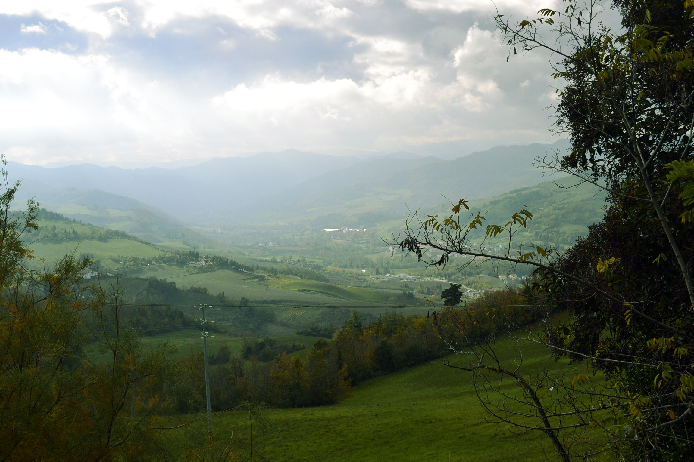 Untitled Photo