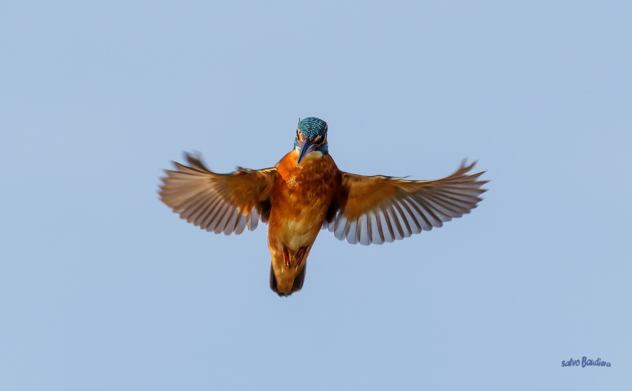 In attesa di pescare...