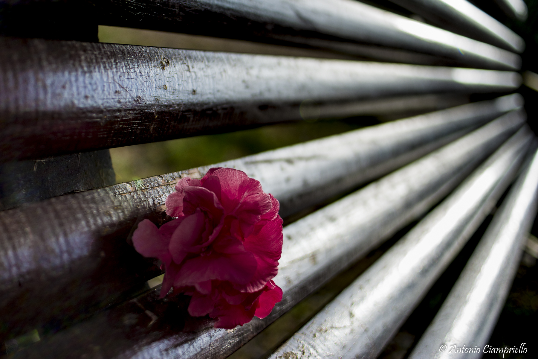 Ritrarrò i miei raggi per farti posto sulla panchina