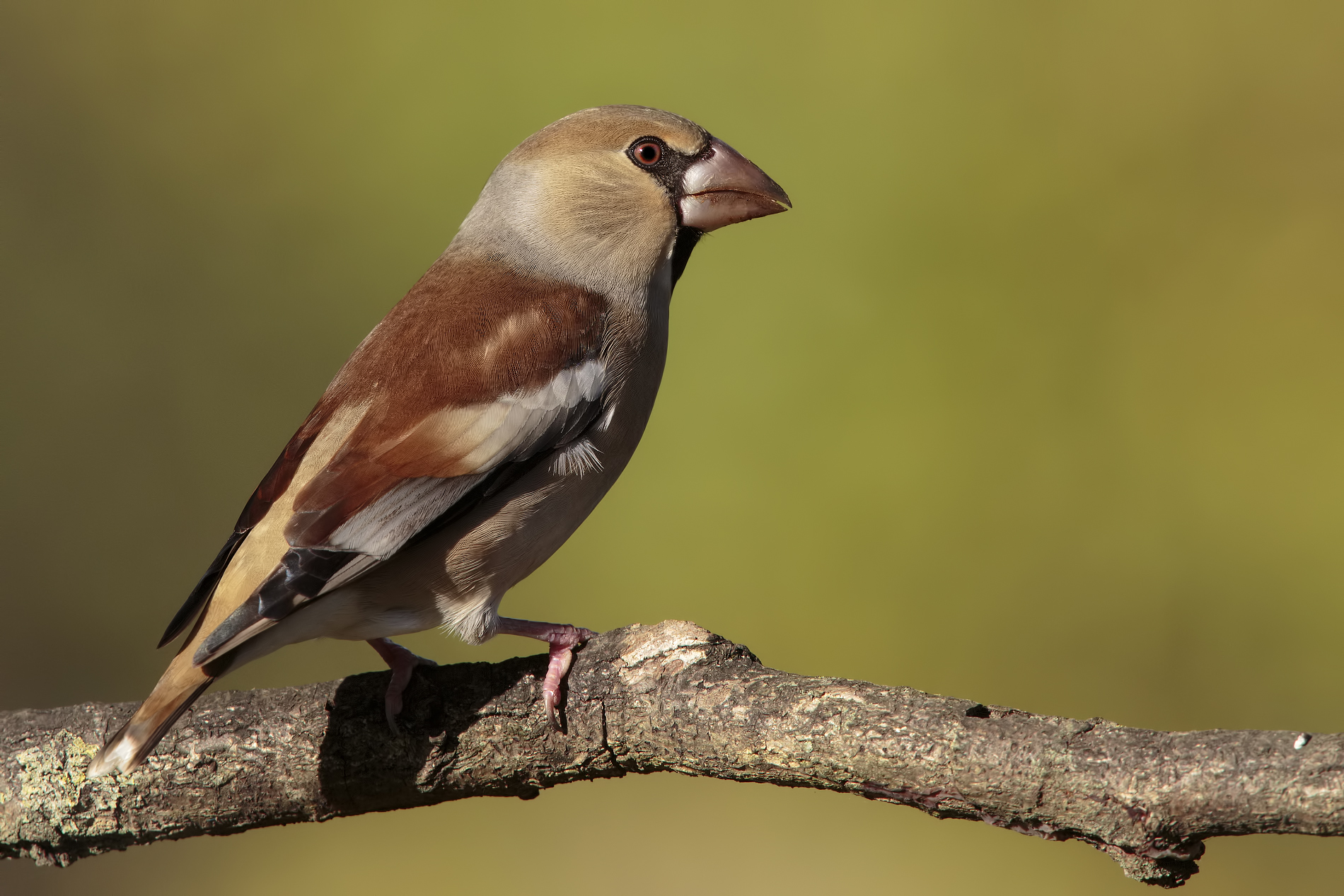 e arriva il tramonto...