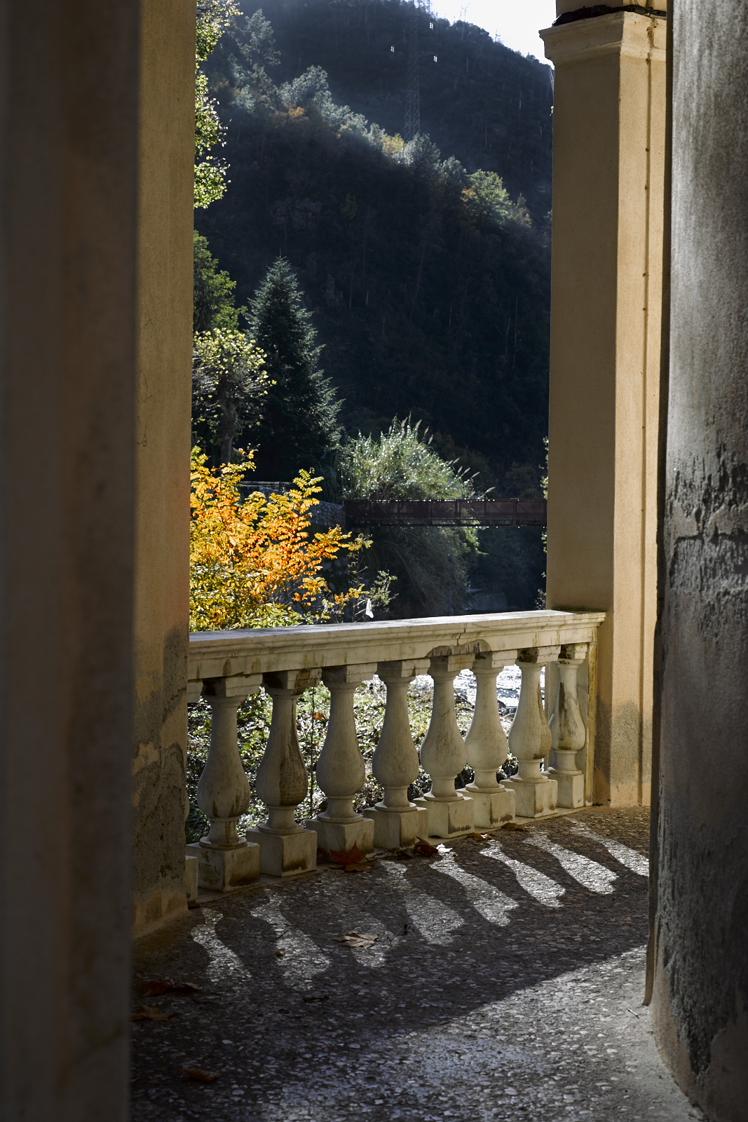 view from the terrace