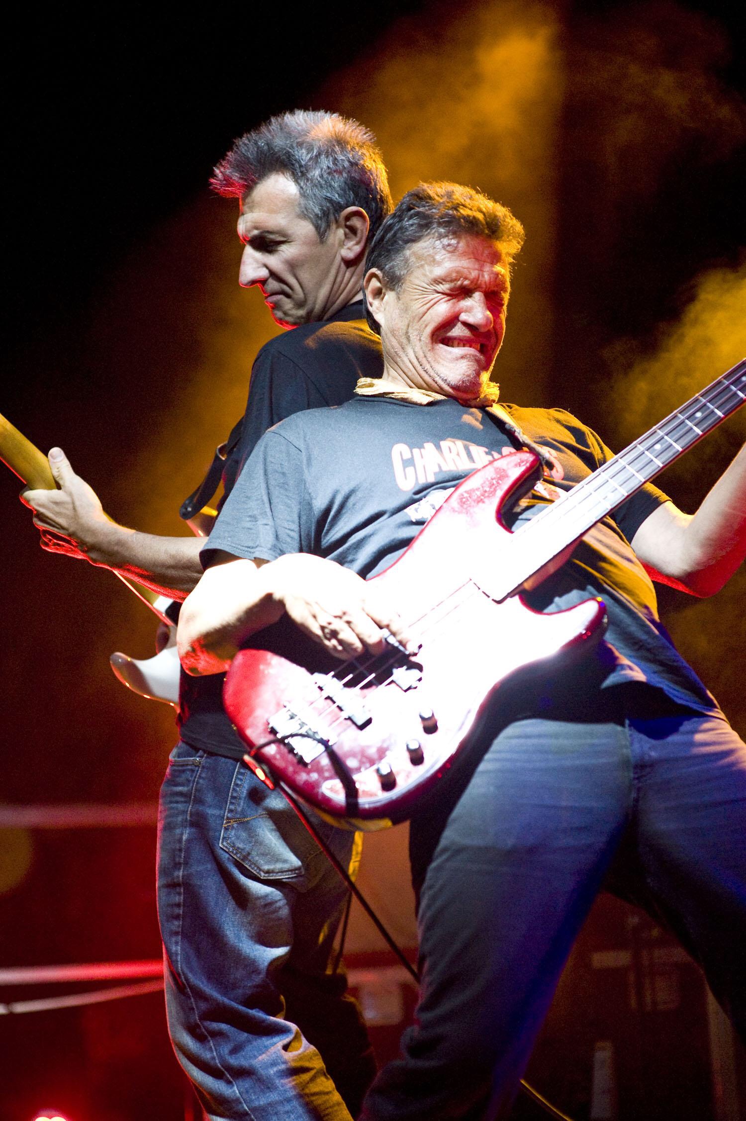 Charlie and the cats