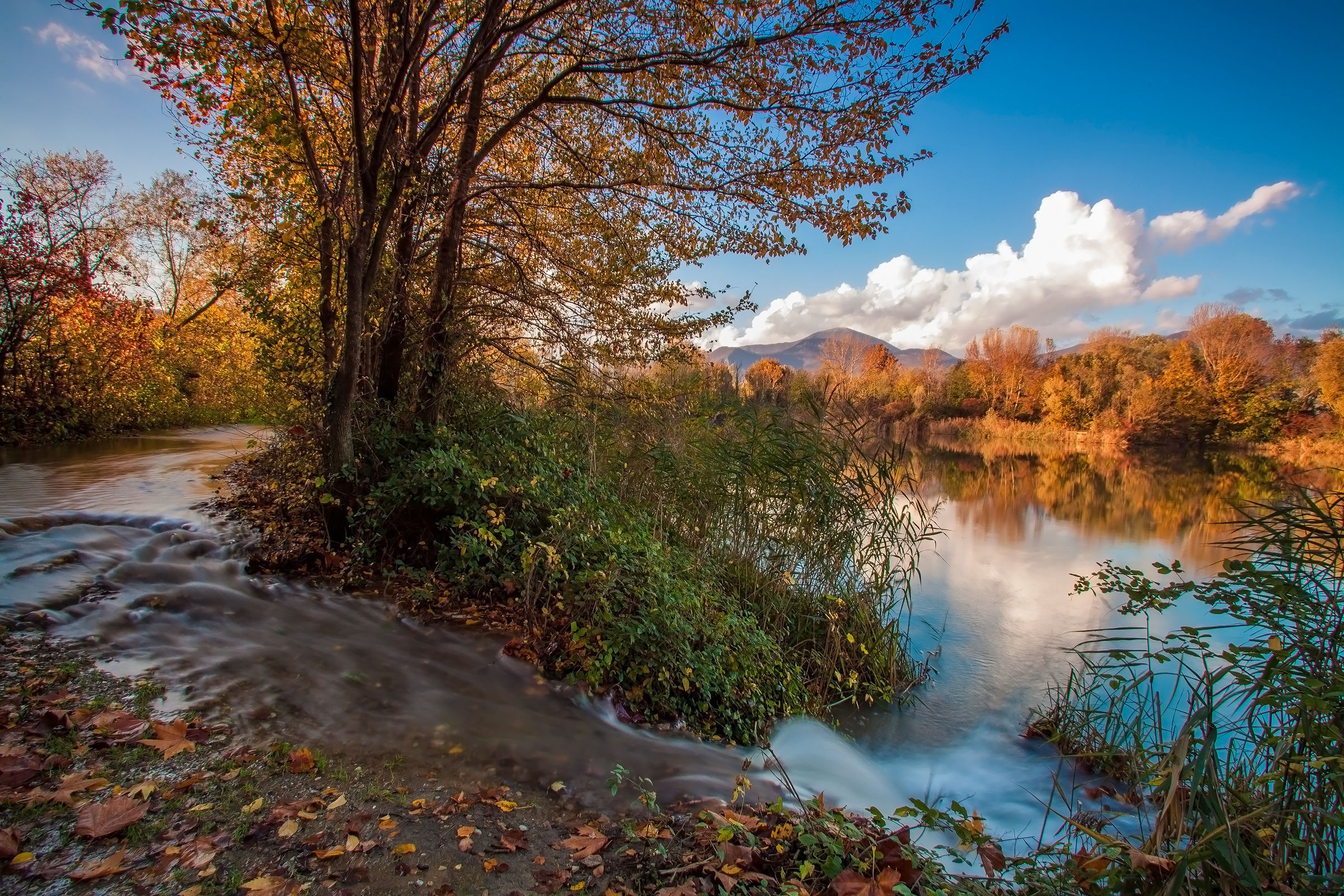 un fiume in torbiera