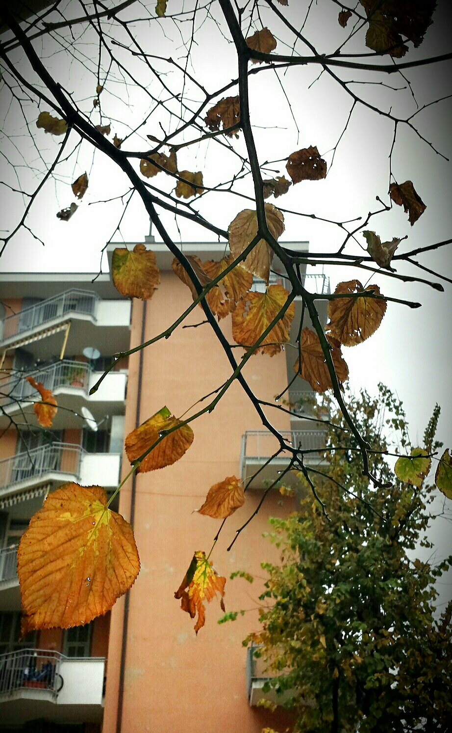 Autumn in the city