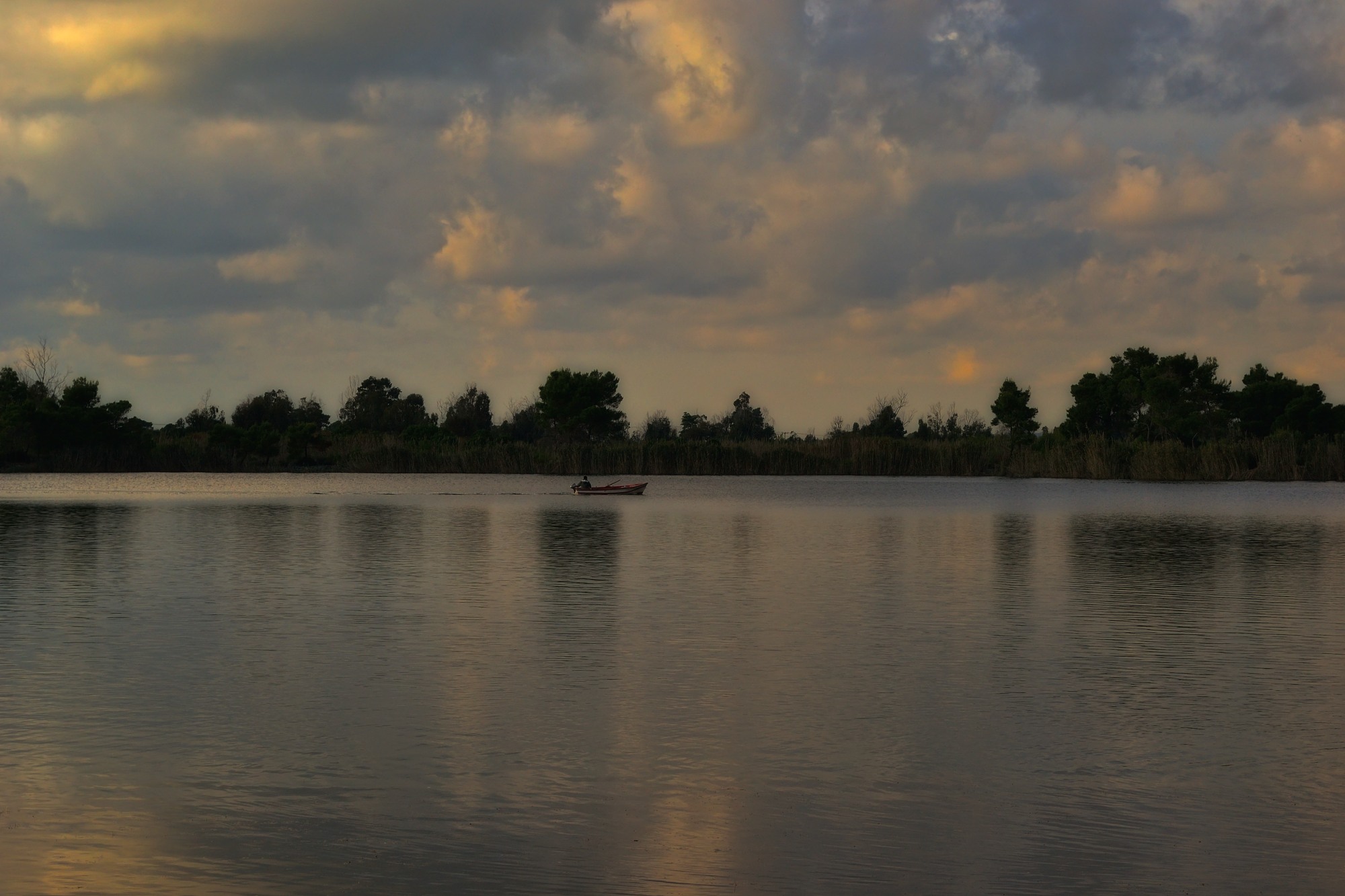 Alone, not lonely...