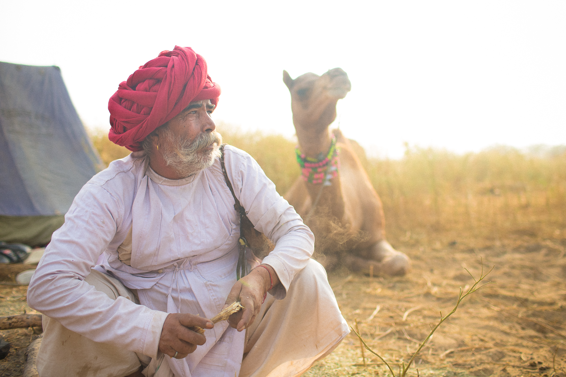 marwari camel trader