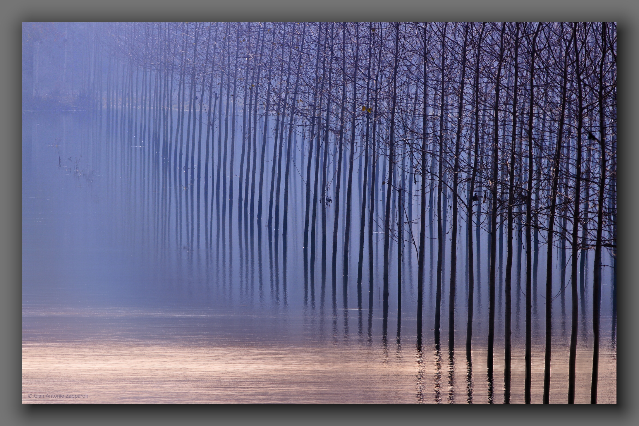 Piena del fiume Oglio nei pressi di Mantova