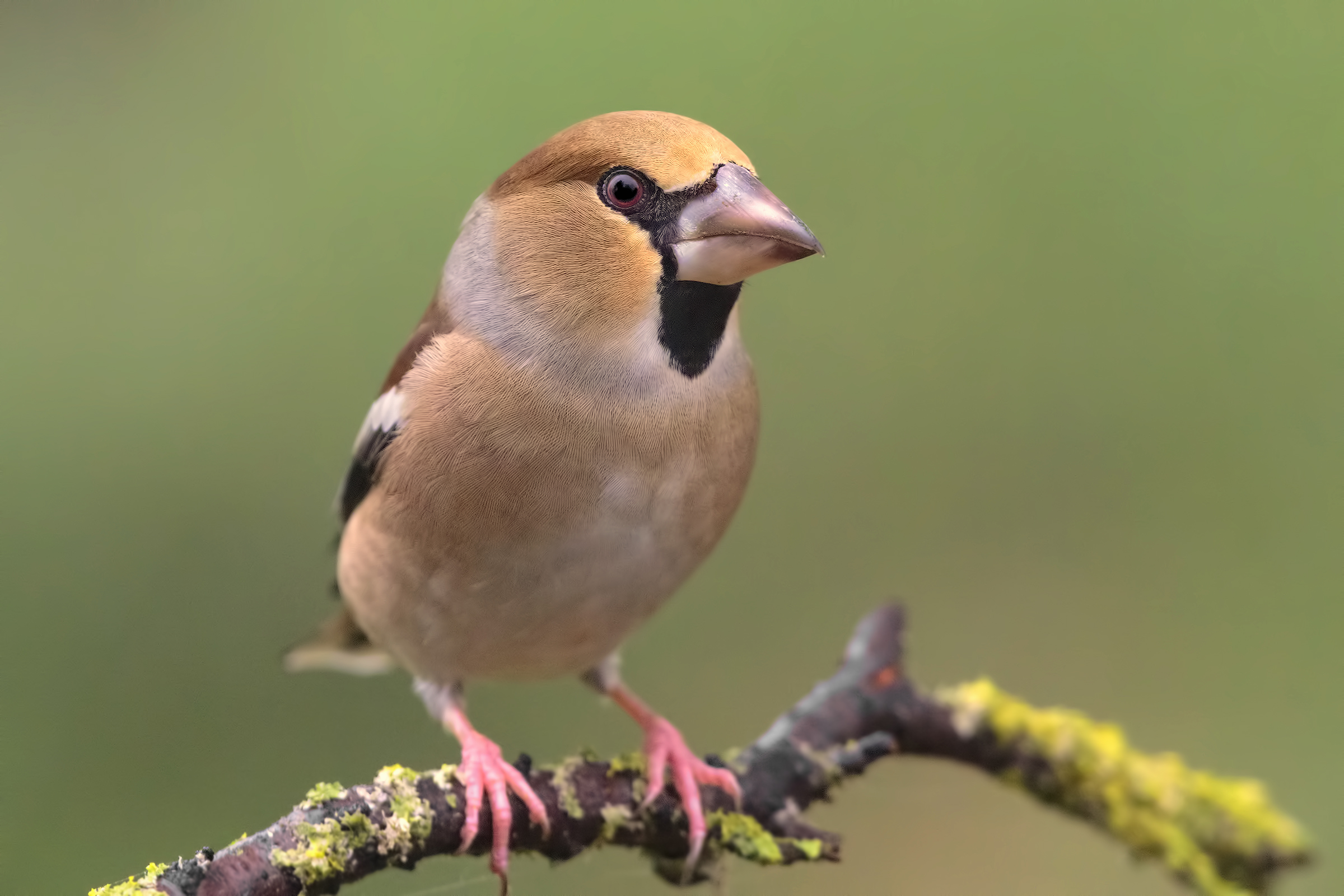 challenge to the latest ISO ....