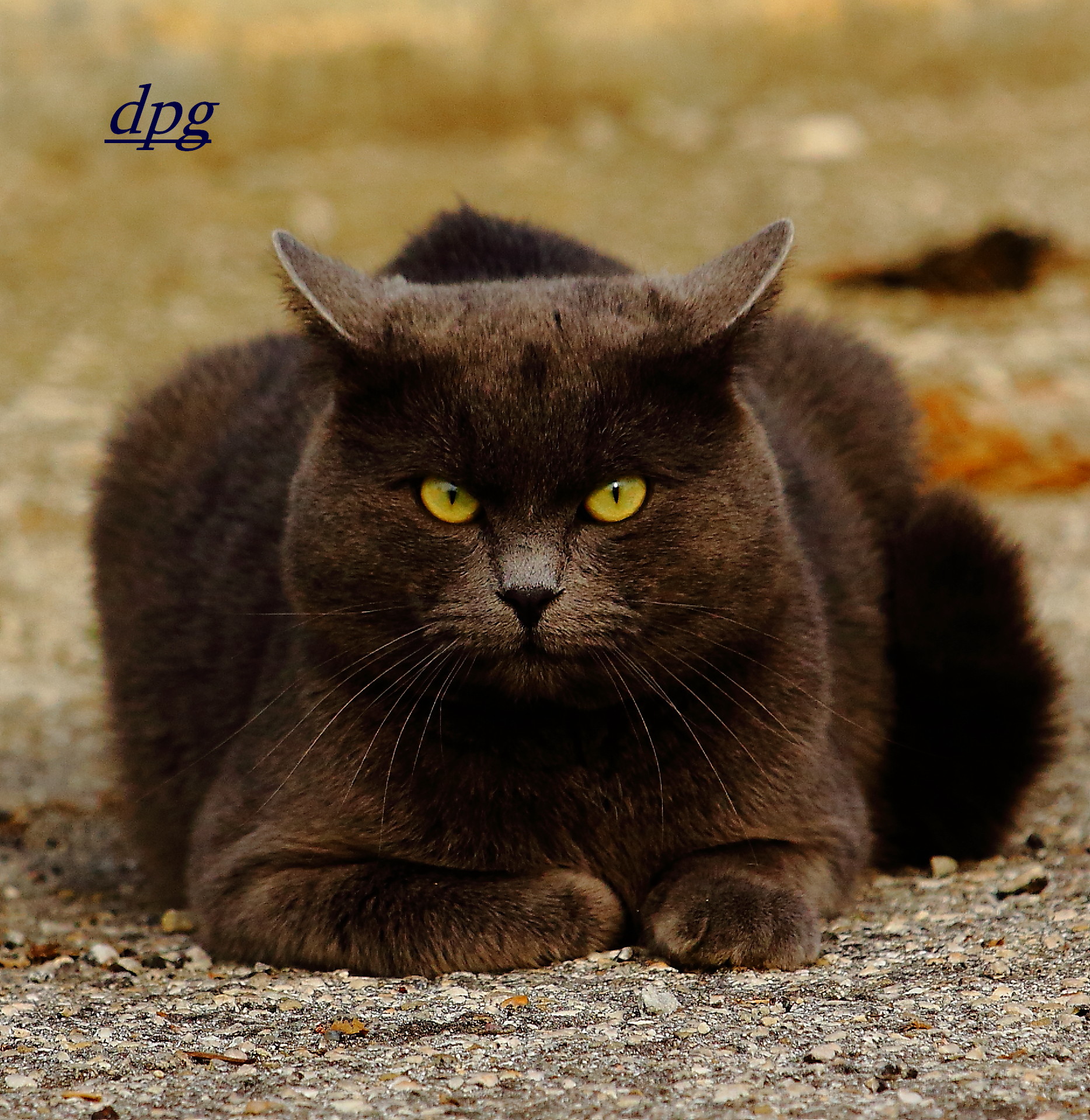 Che fatica arrivare quassù