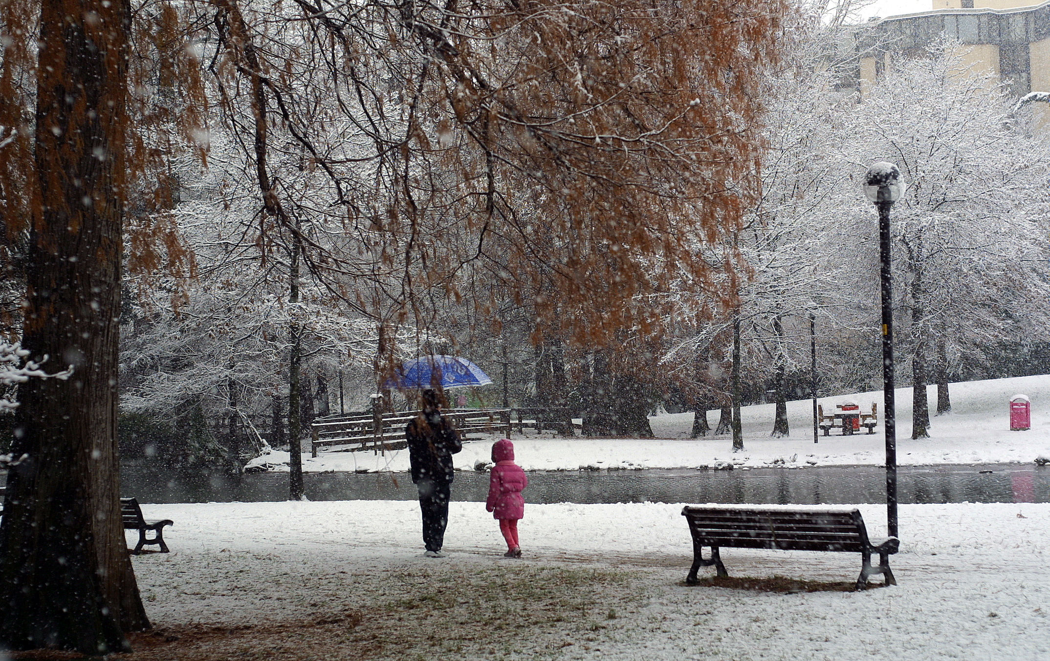 that beautiful snow ...