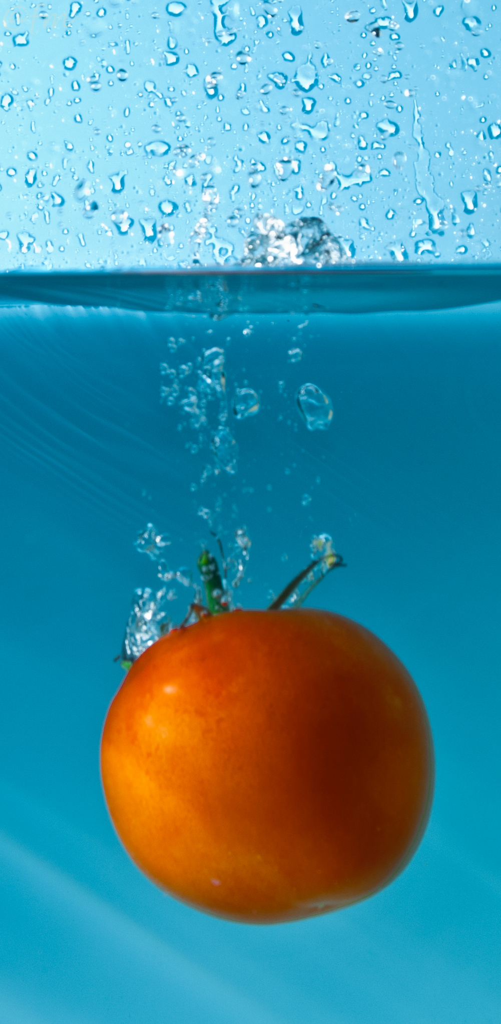 Naufragio di un pomodoro