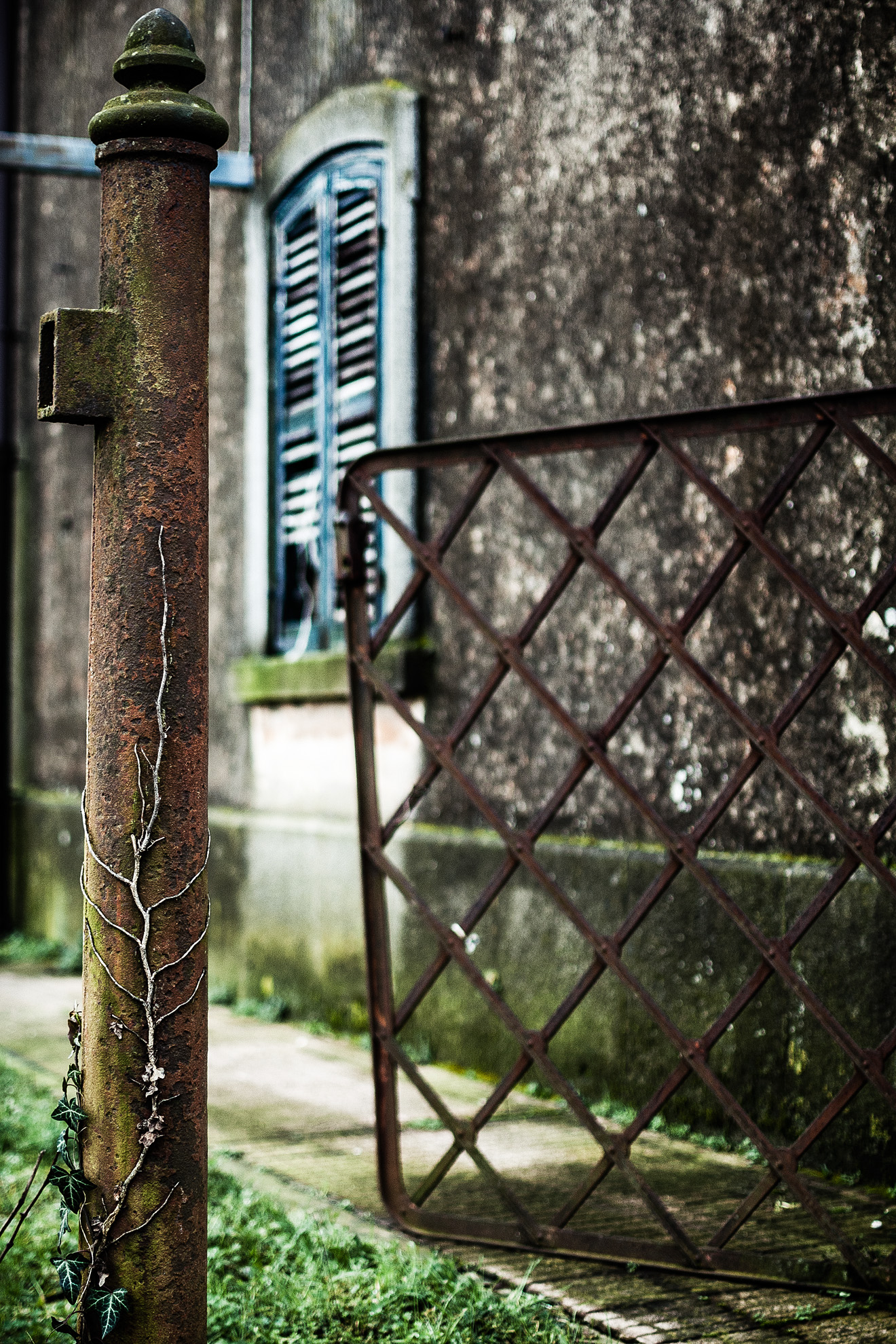 Benvenuti....nella mia casa