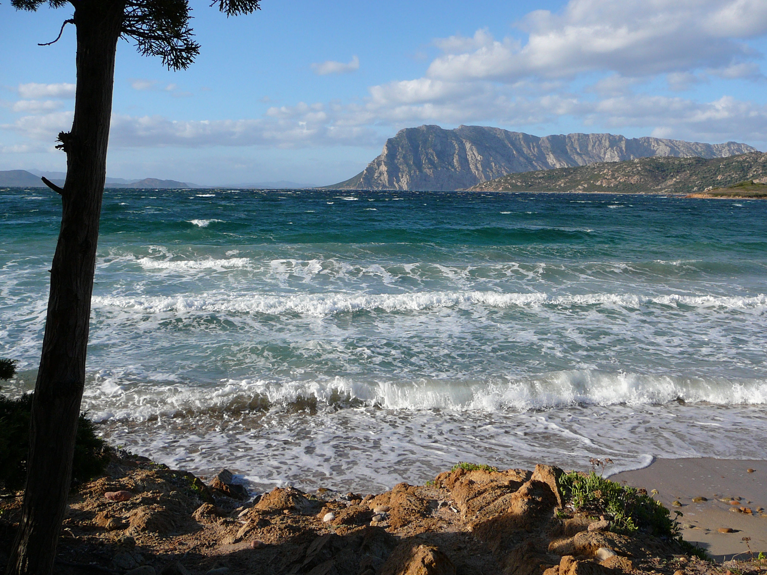 Sardegna, maestrale a Coda Cavallo
