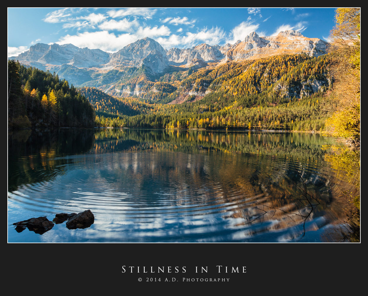 Stillness in Time