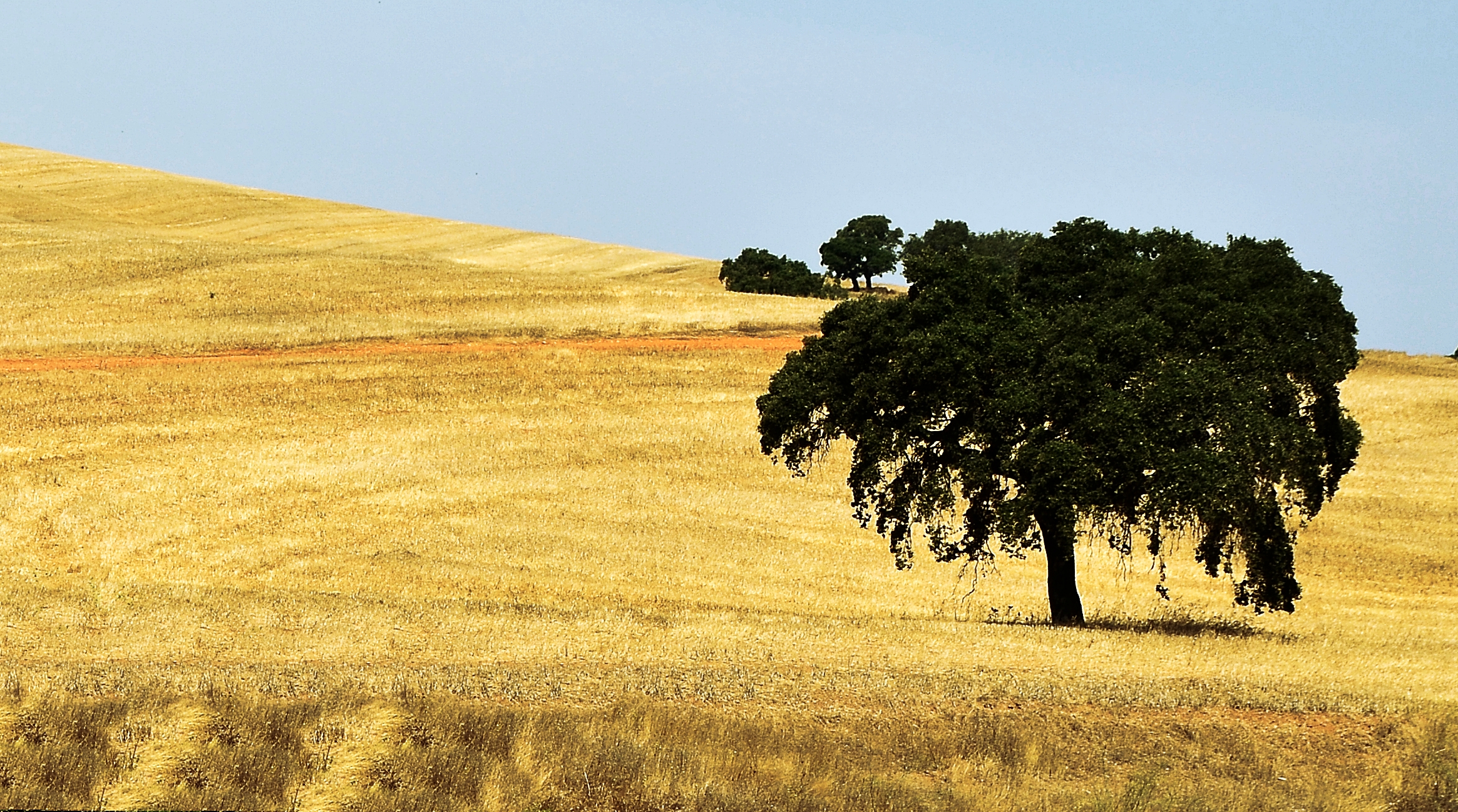 la campagna dell alentejo