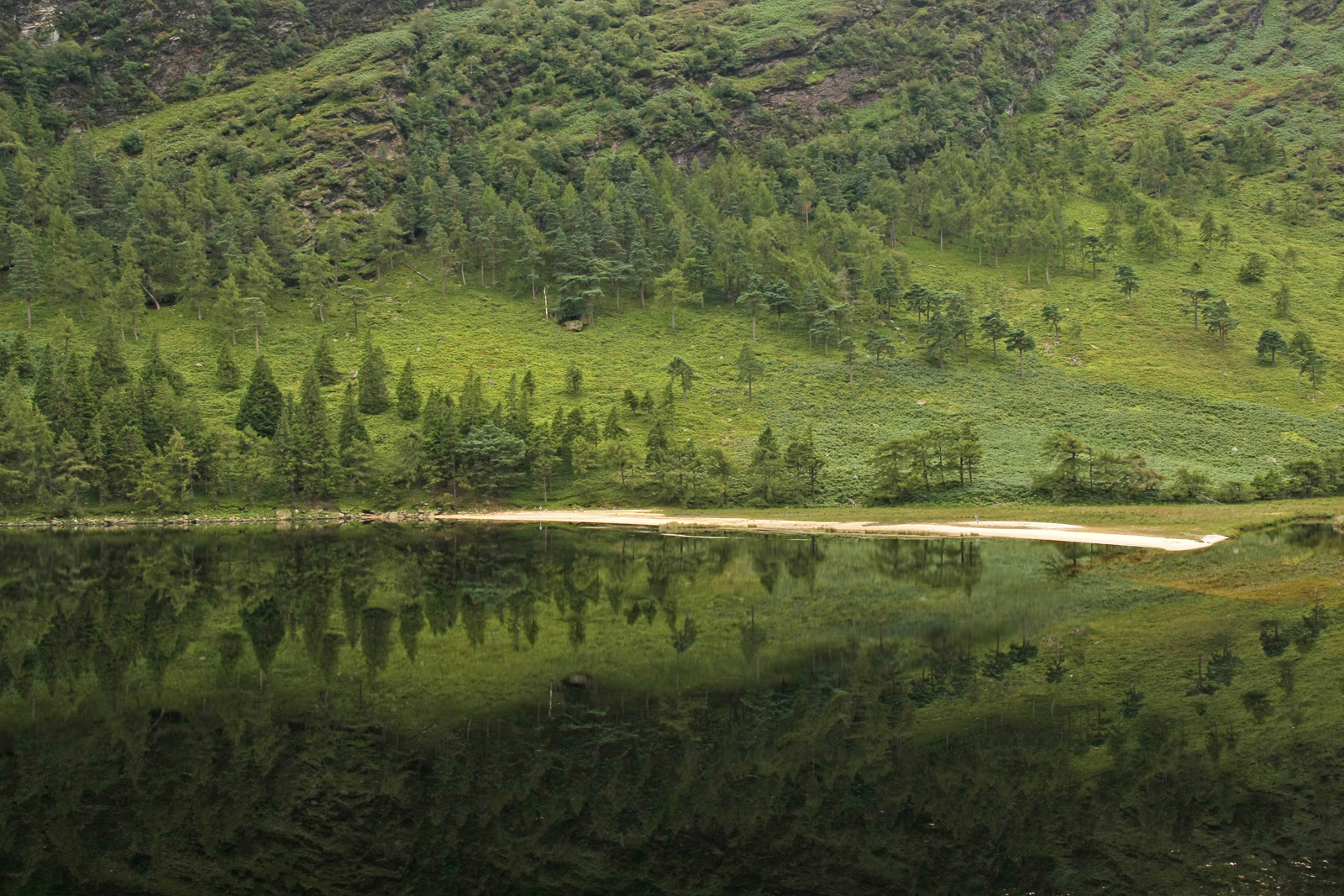 Riflesso a Laragh Lake