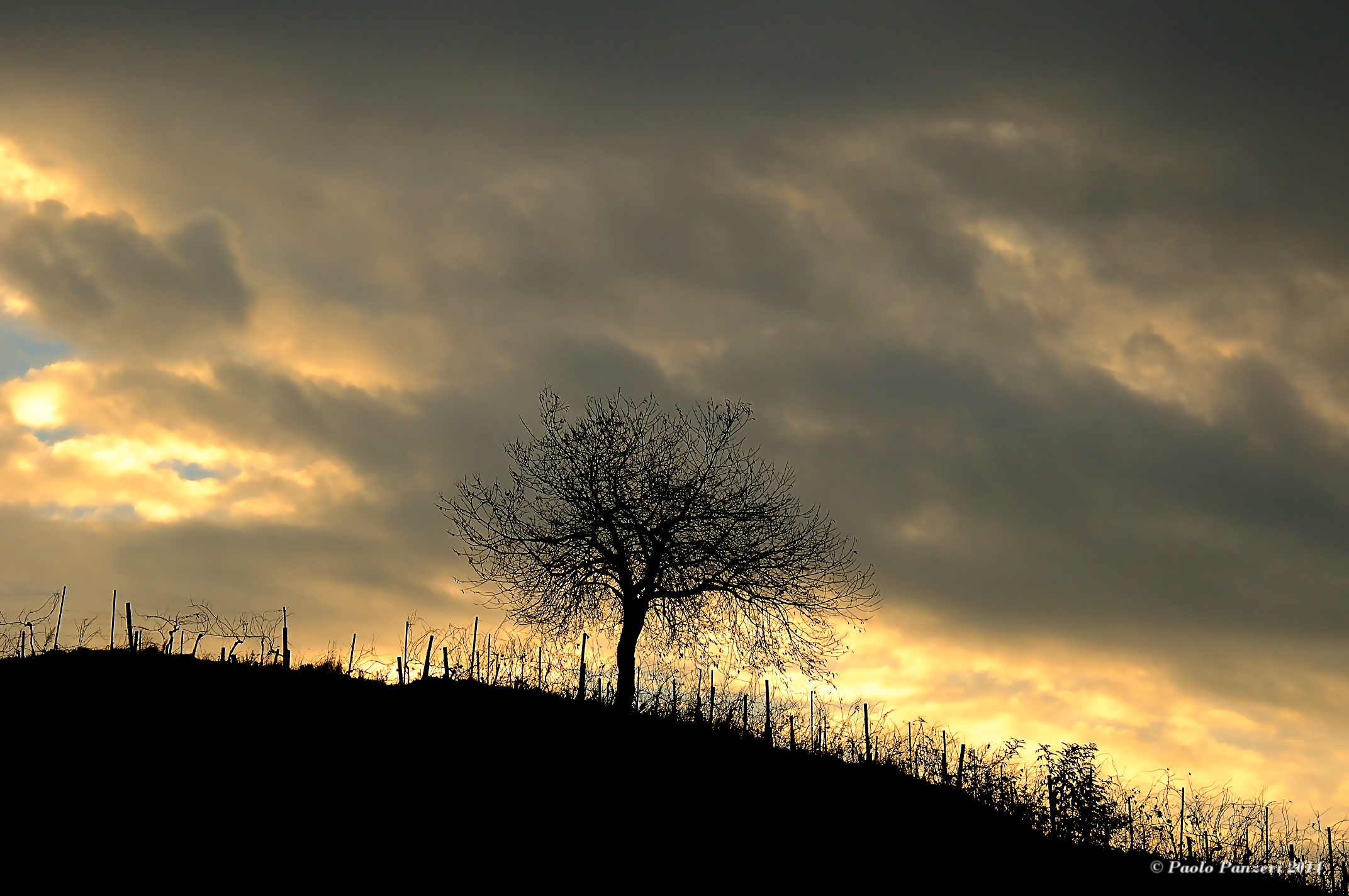 Il Guardiano della Collina