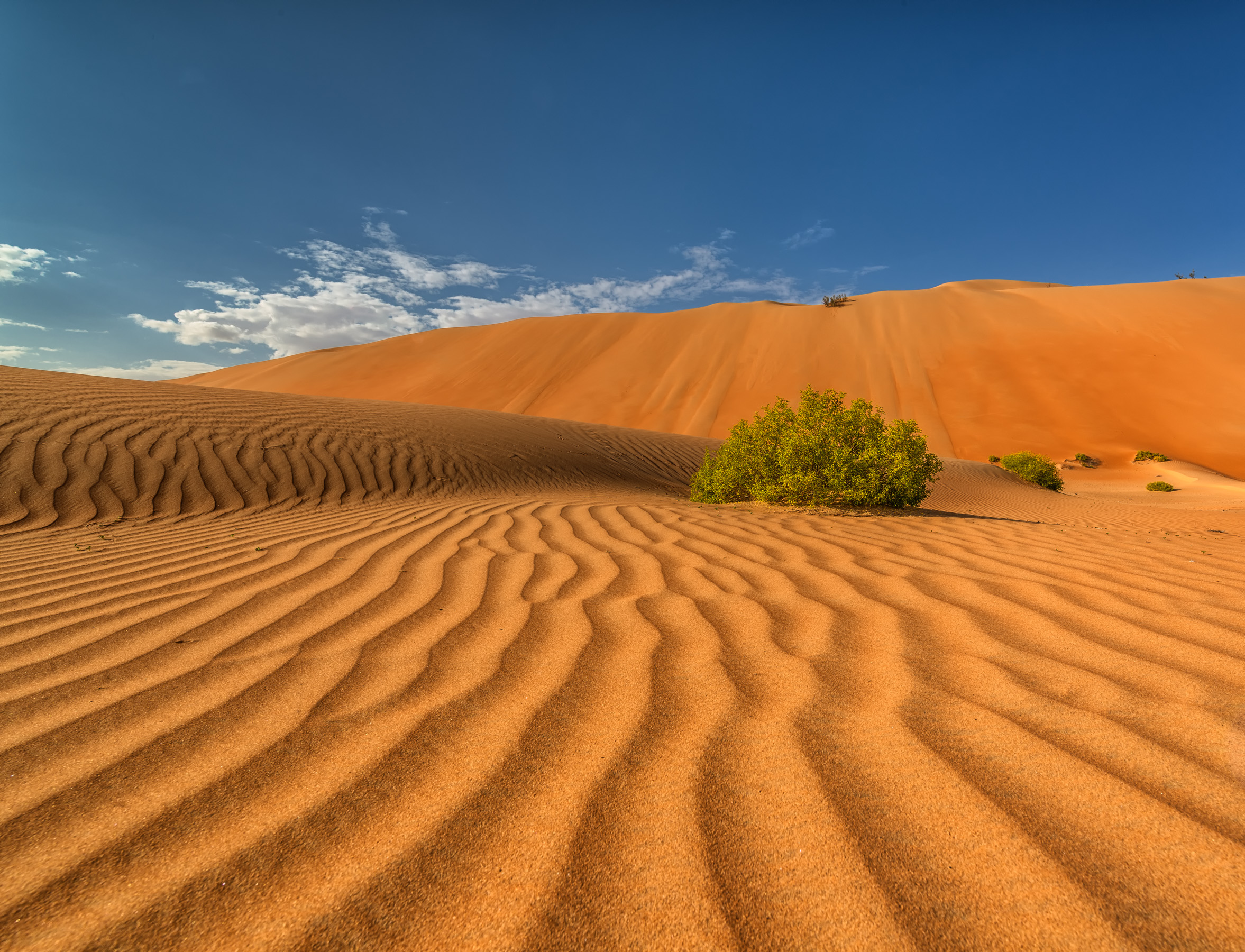 Rub al Khali