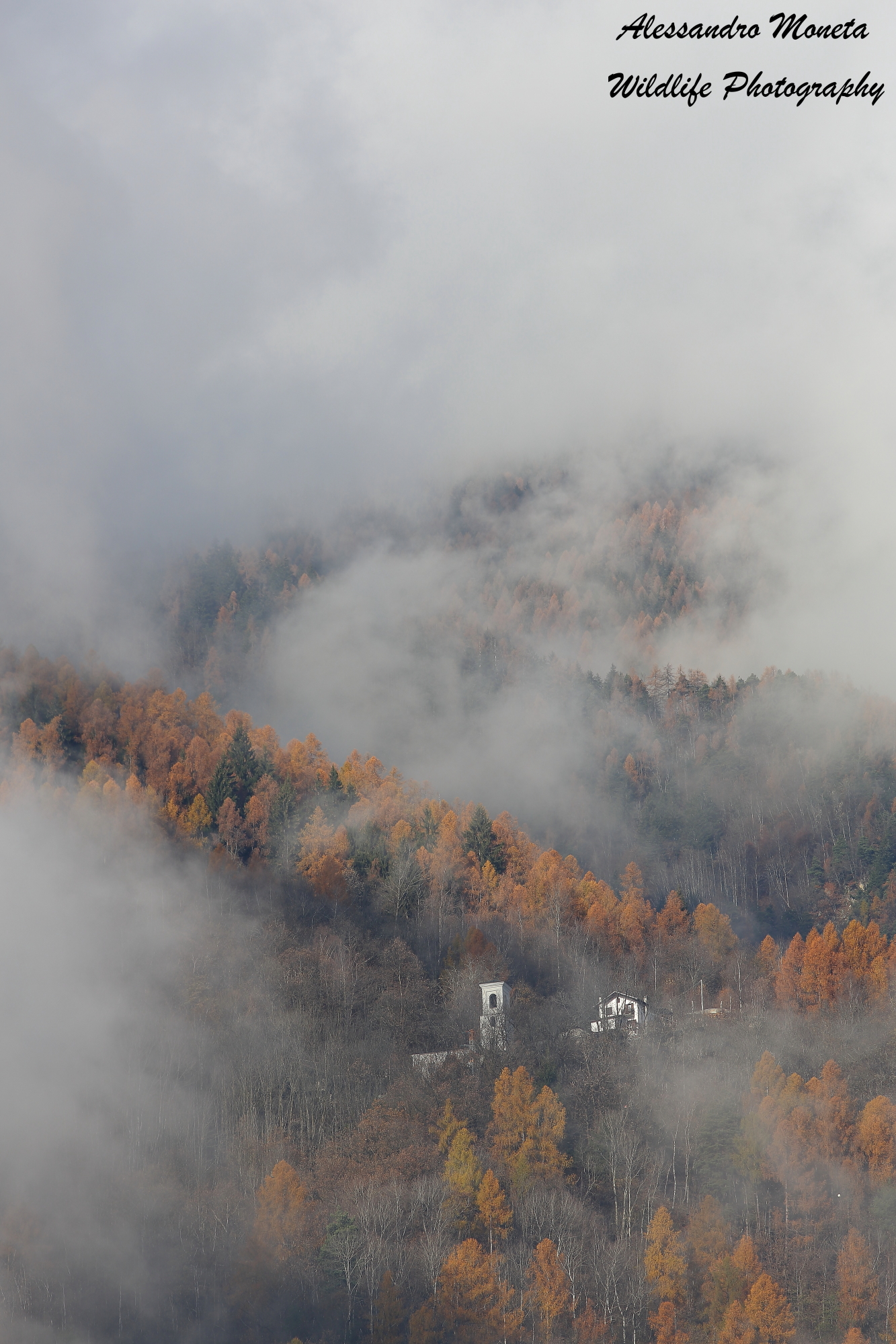 Swallowed up by clouds