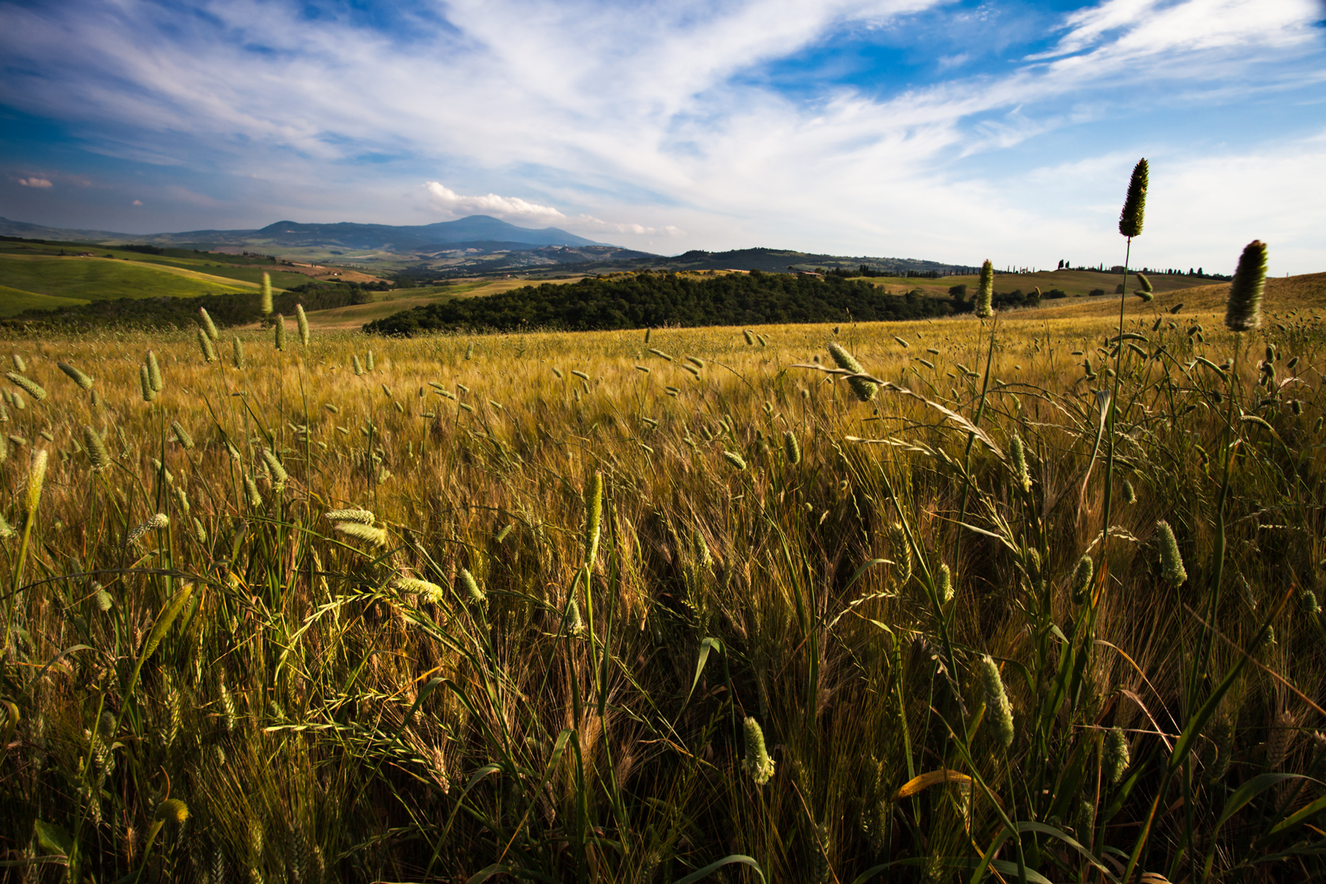 immerso nella campagna