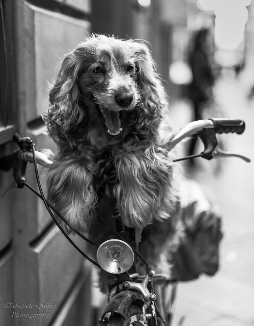 Woe to him who touches my bike!