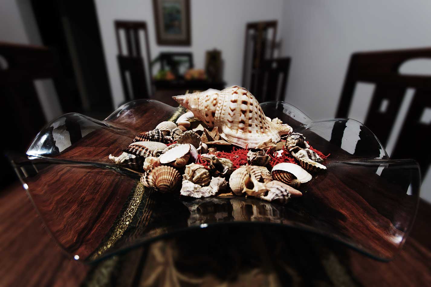 Shapes and colors, gifts from the sea