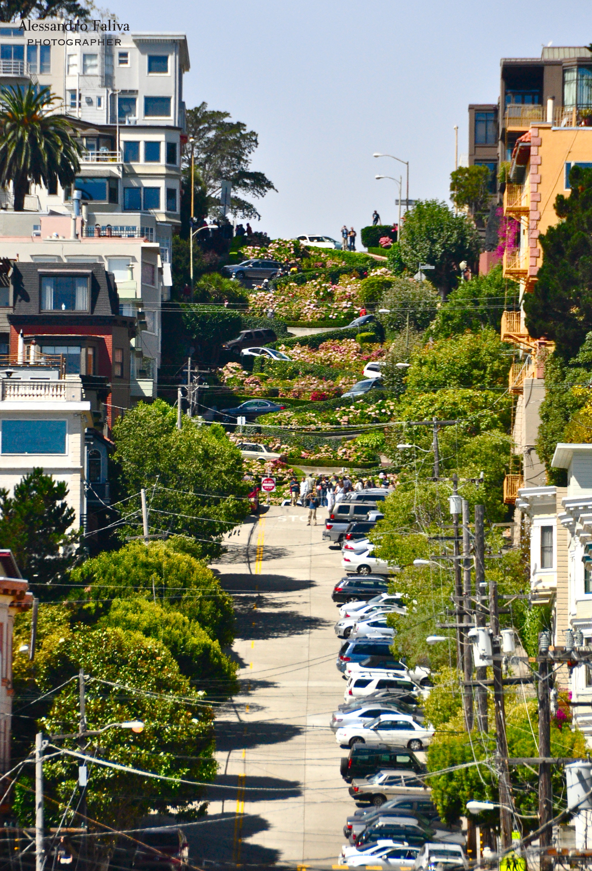 Lombard Street, San Francisco, California
