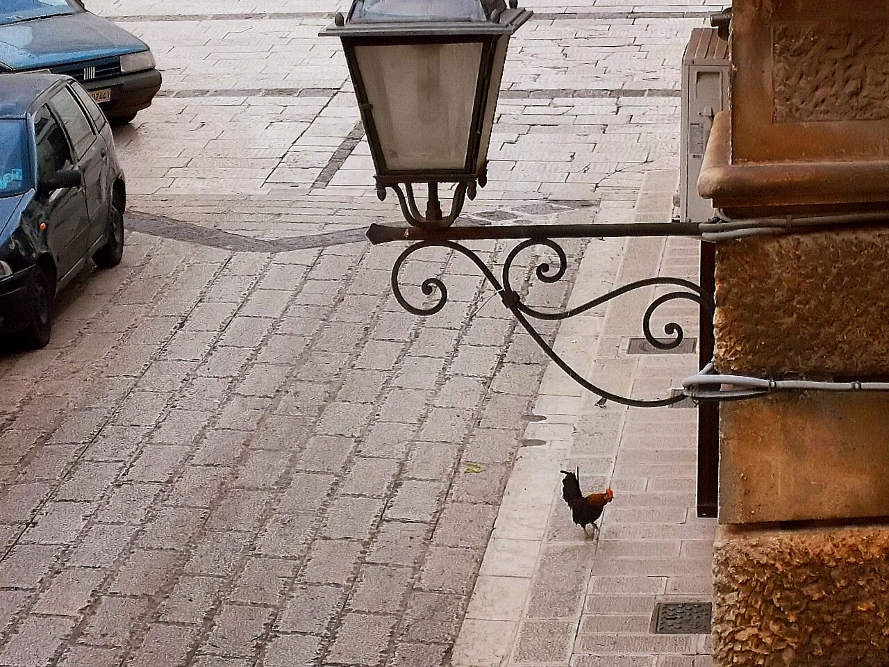 Photo curious: a rooster street