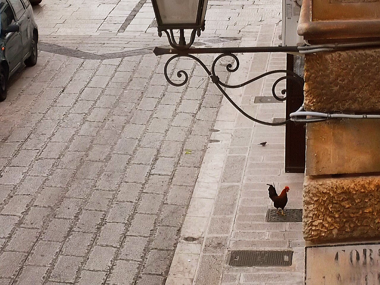 Photo curious: a rooster street