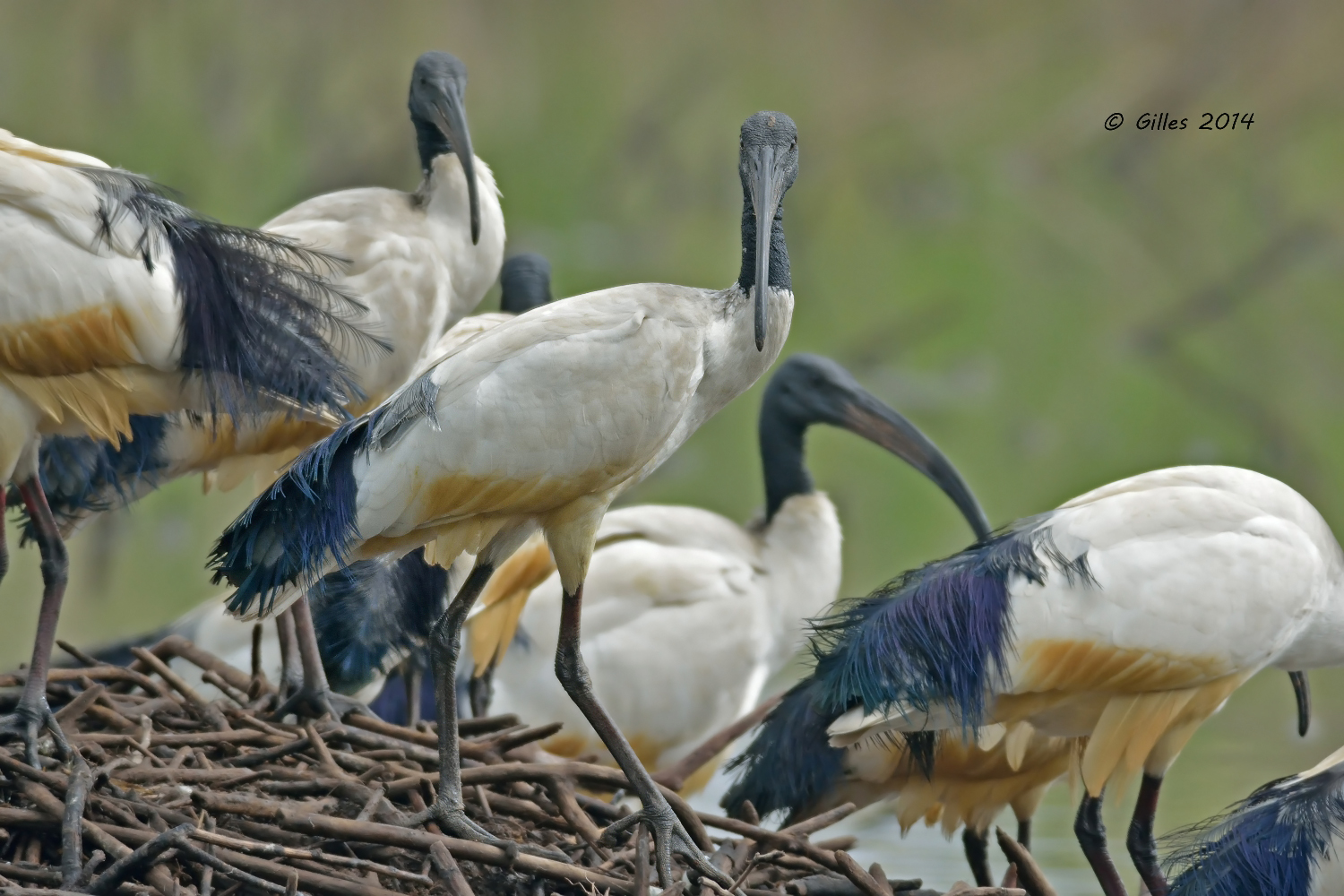 ....e tu ...che vuoi?