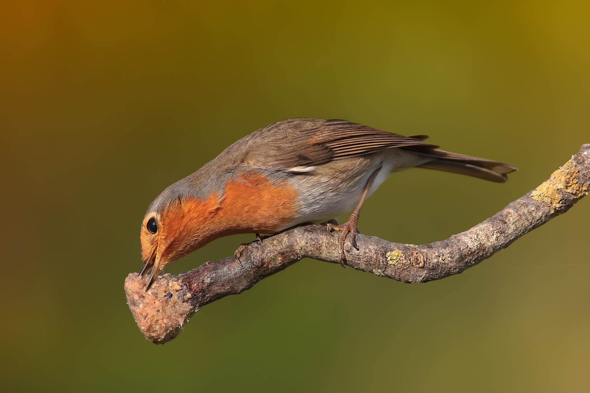 ...Colazione alle 8,30..!