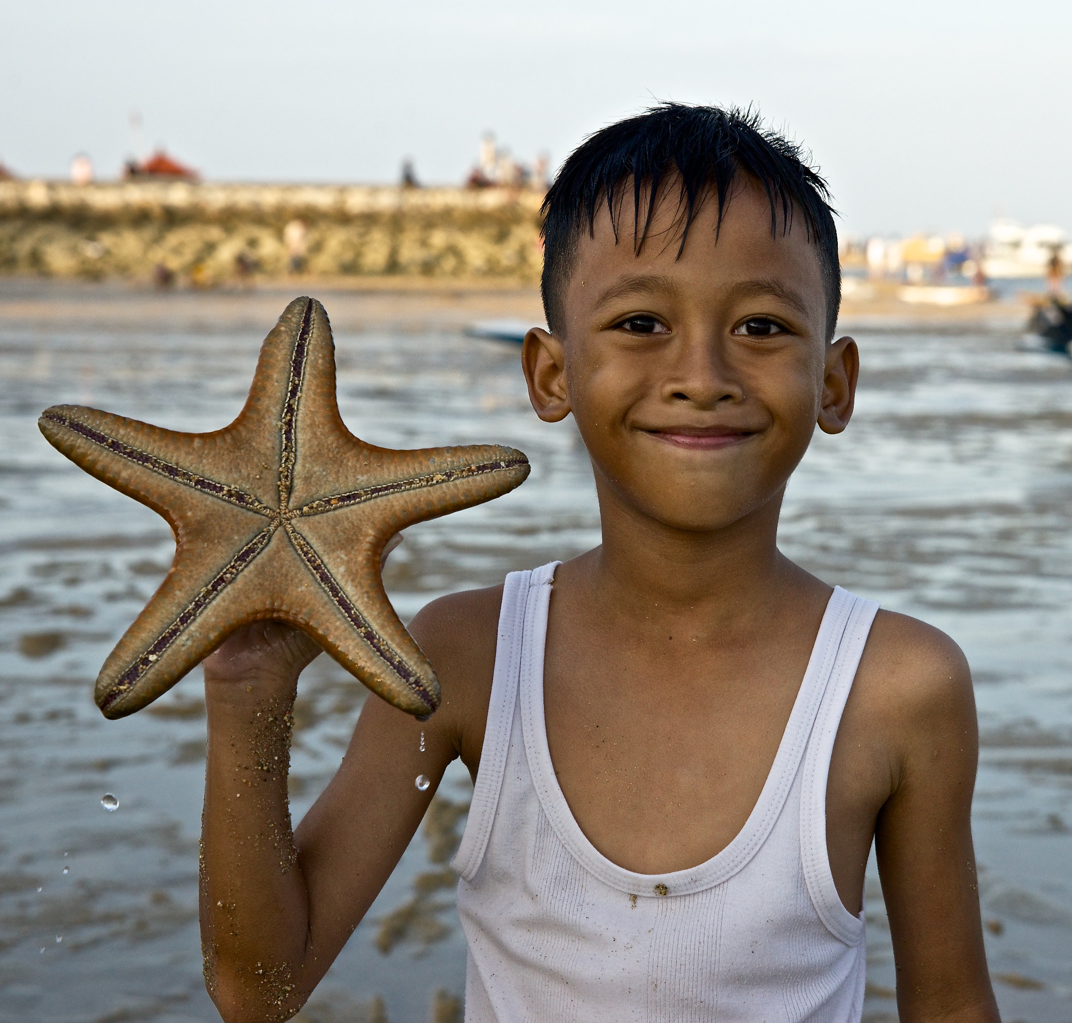 Magnificent, is not it?