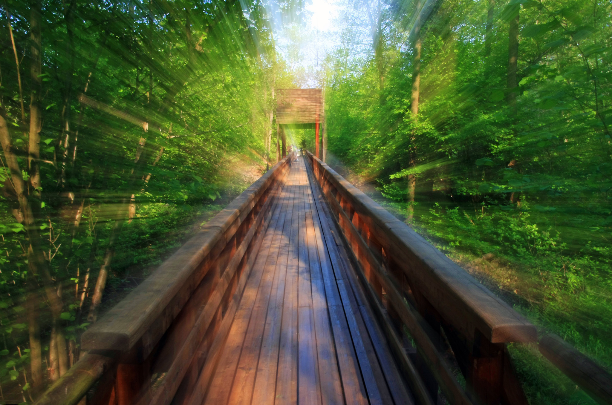 Running through the bridge