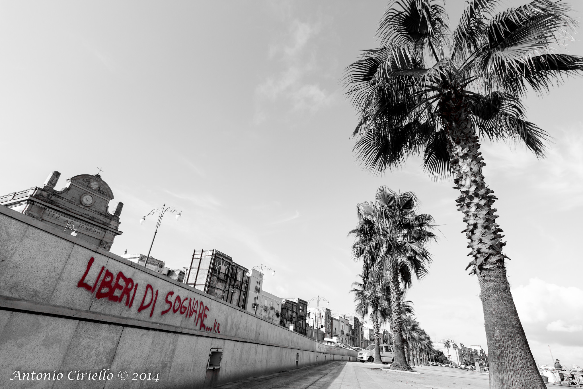 una delle libertà più belle...