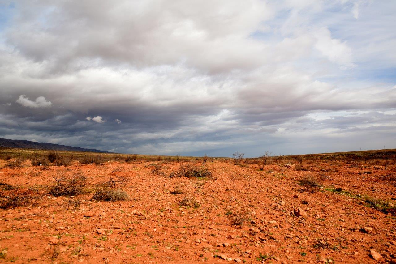 Valle della Bekaa ( Libano ) Nov 2014