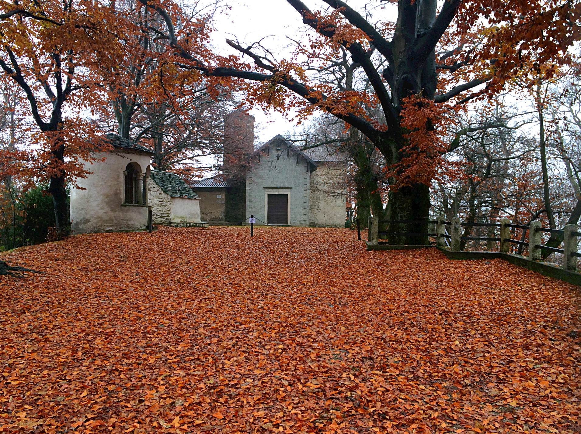 Chiesetta nel bosco di S.Salvatore