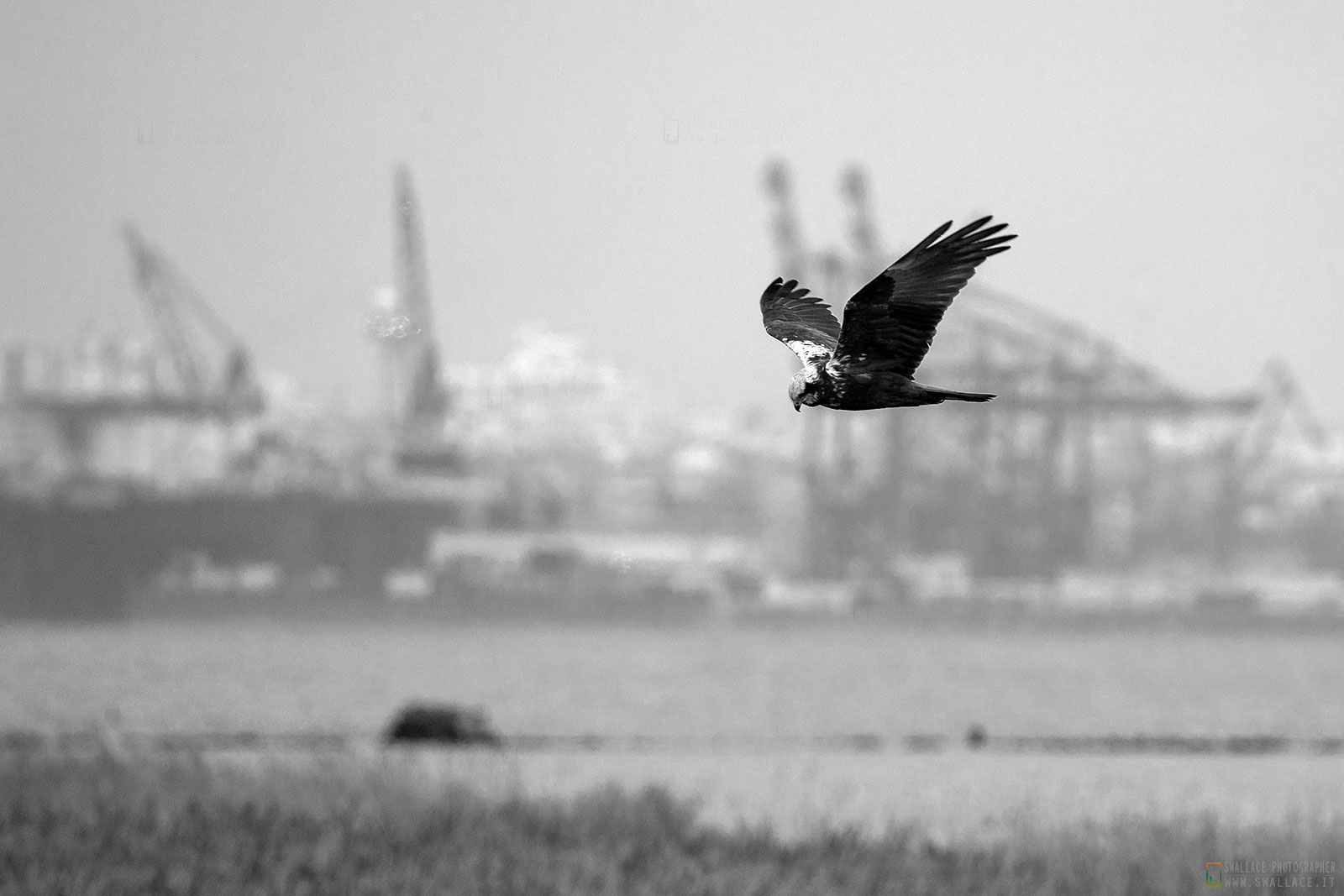 Poda nature reserve, Bulgaria.