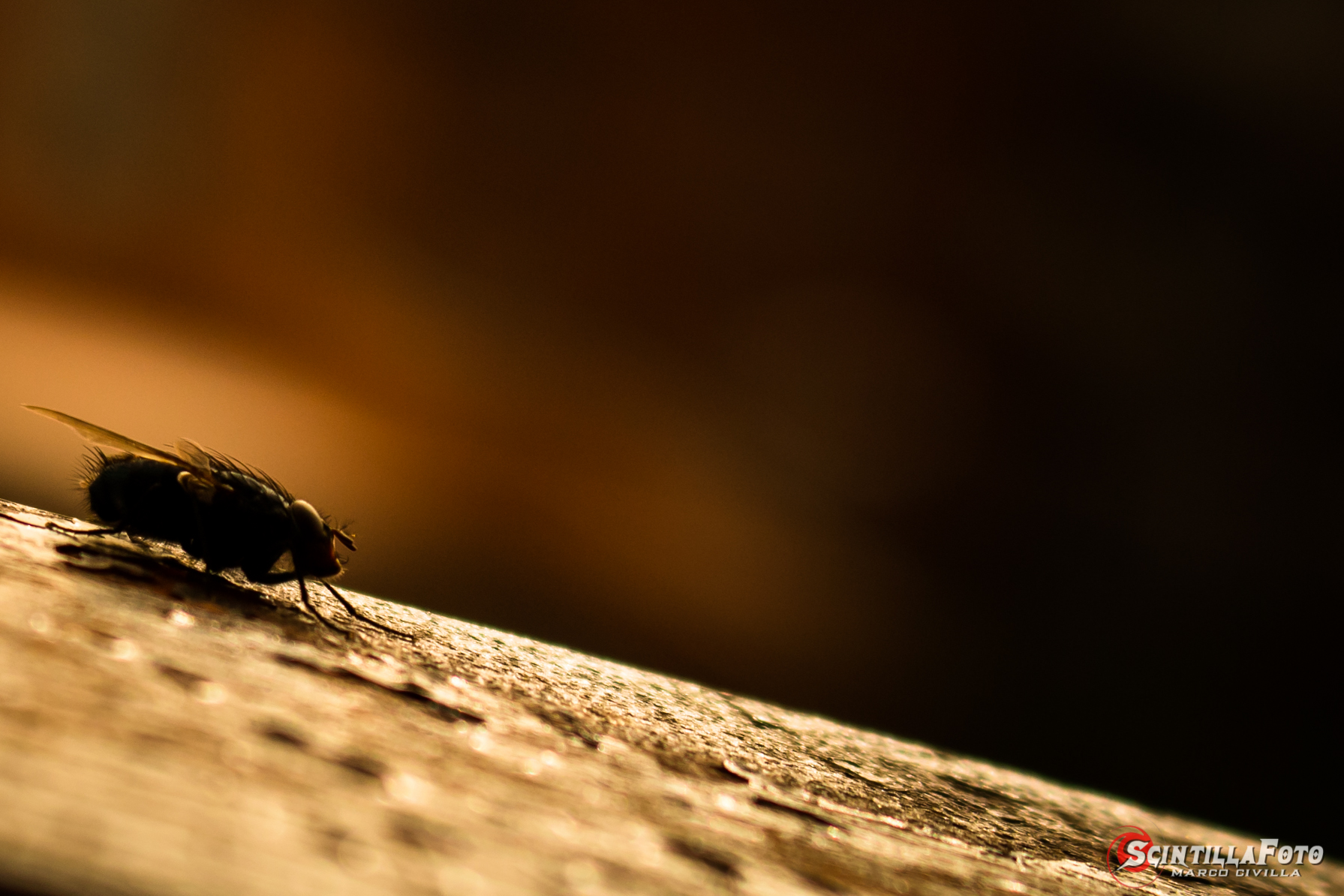 Non frenare in discesa