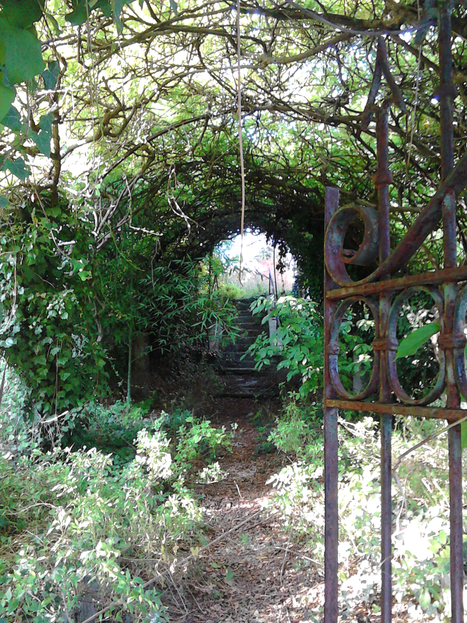 the home of the fairies