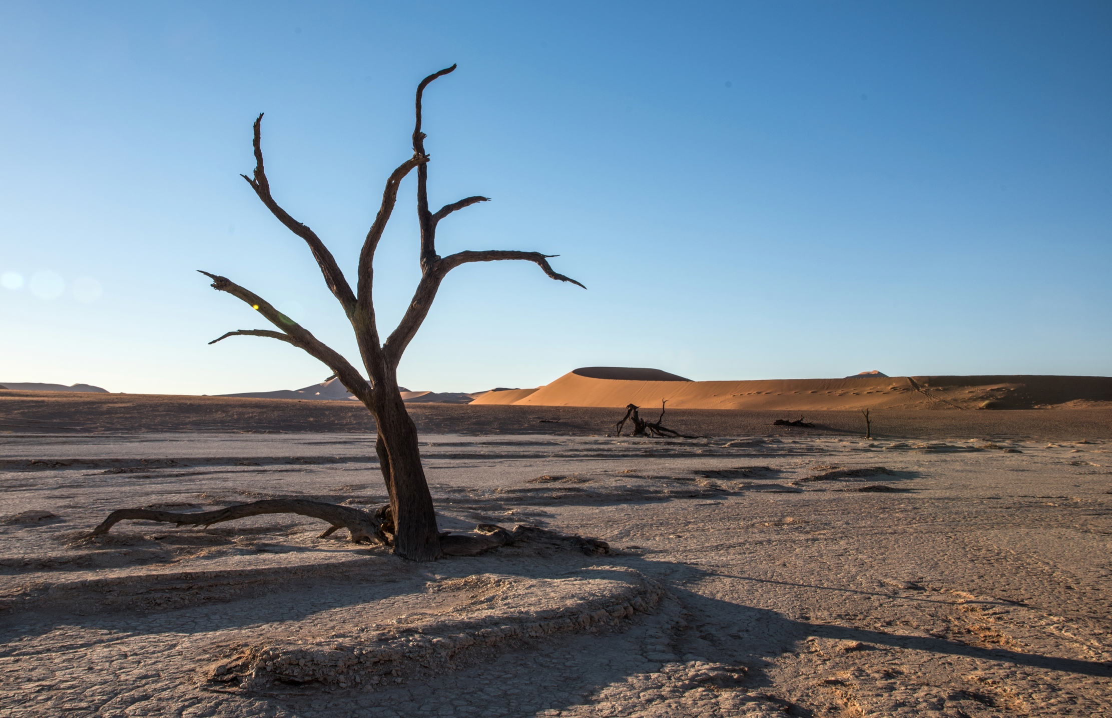Deserto del Namib - Deadvlei