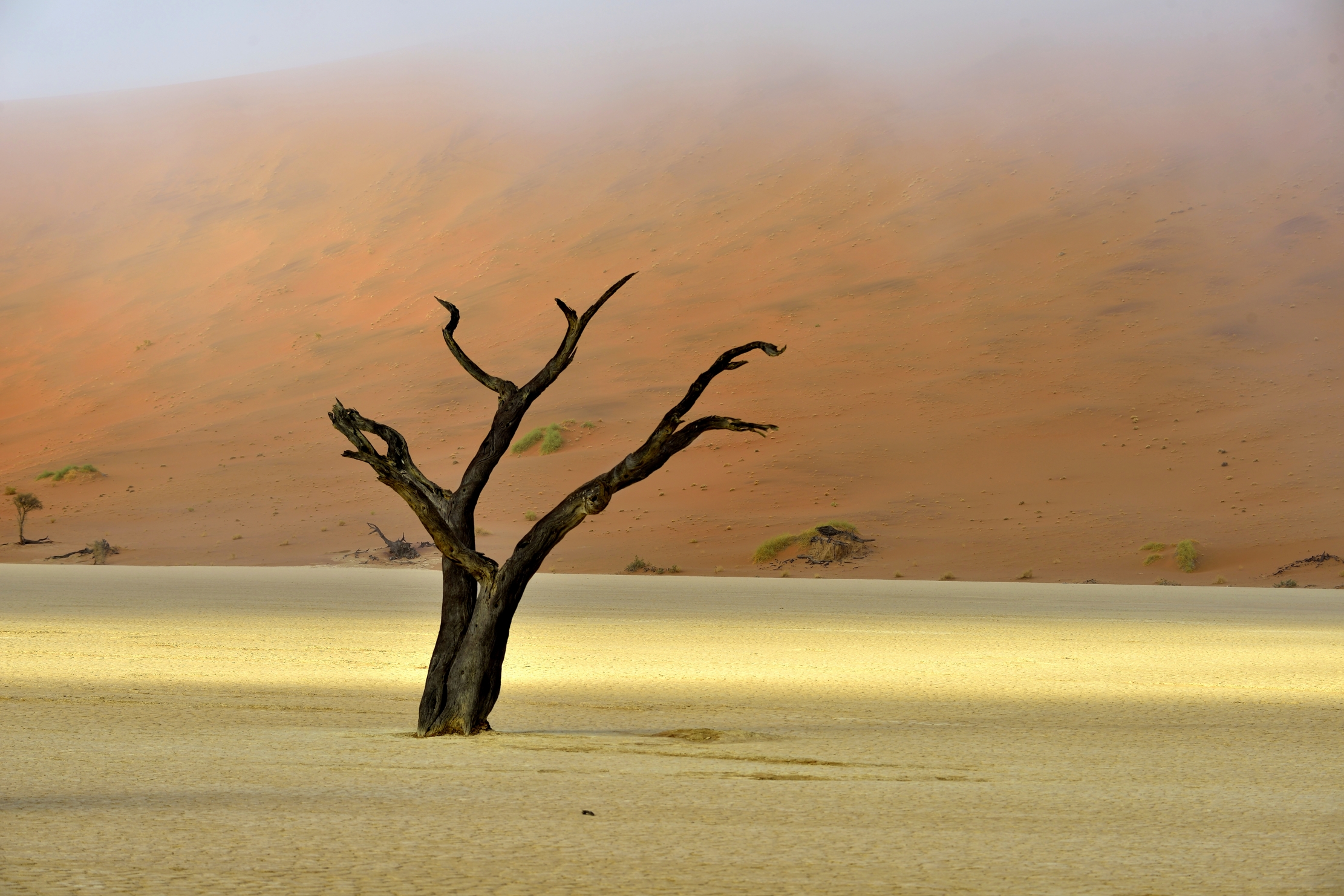 Deserto del Namib - Deadvlei