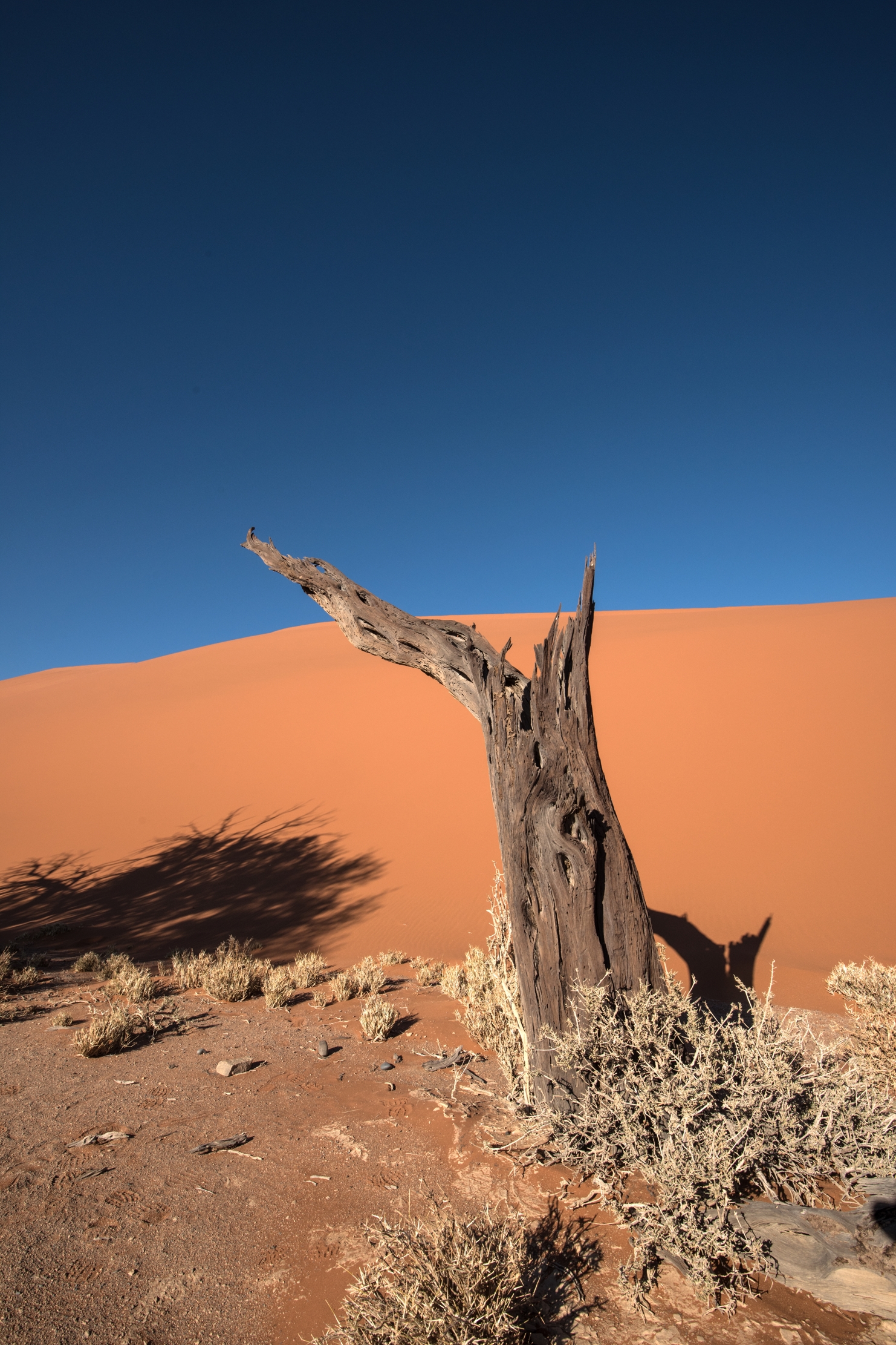 Deserto del Namib - Deadvlei