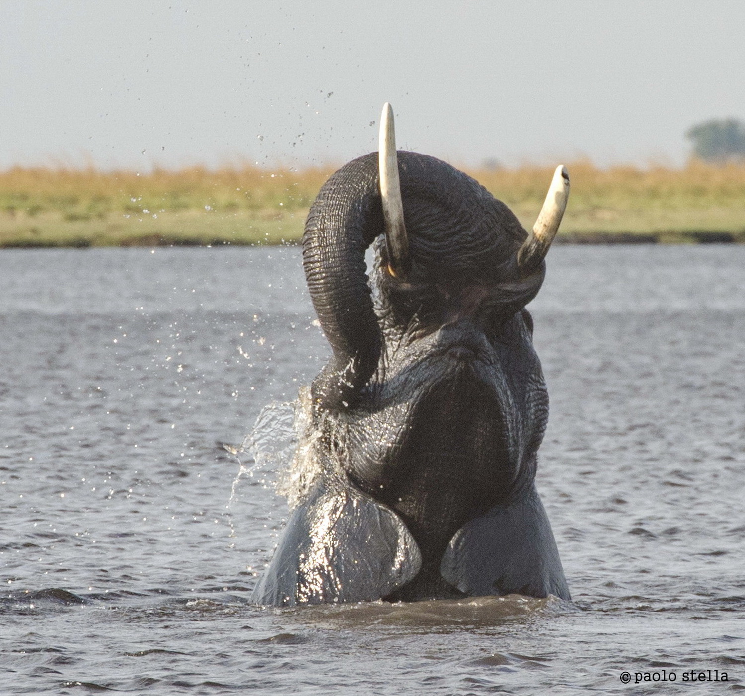 that lust shower .....