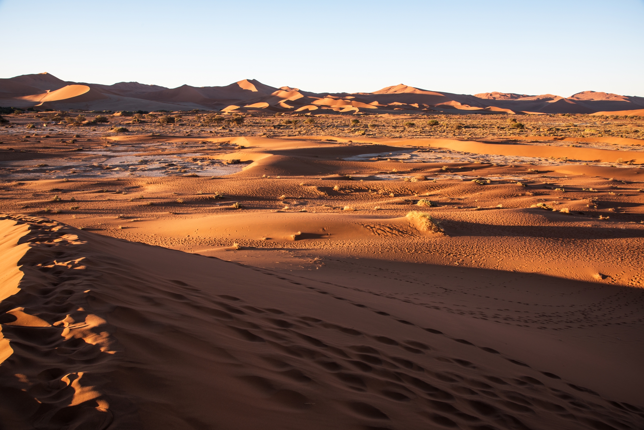 Deserto del Namib