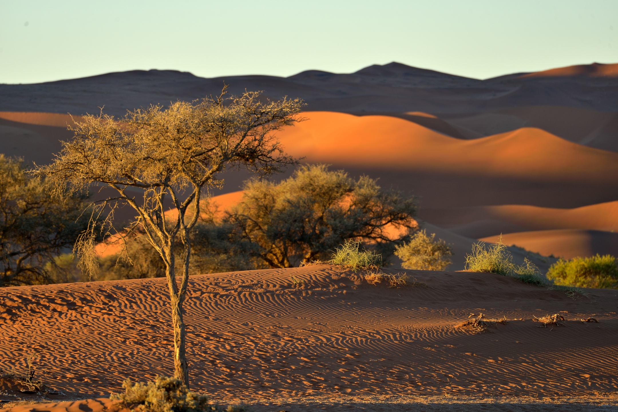 Deserto del Namib