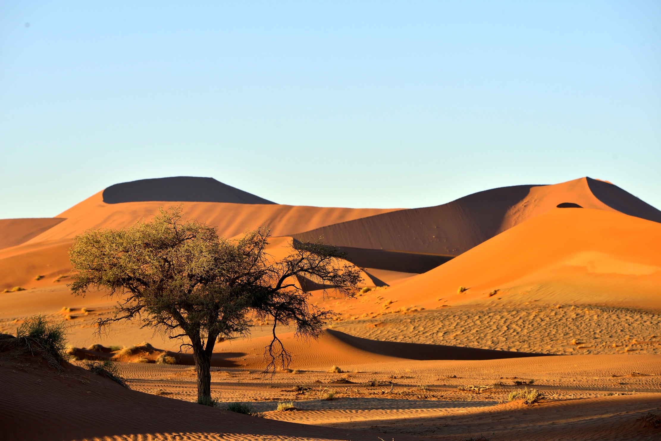 Deserto del Namib