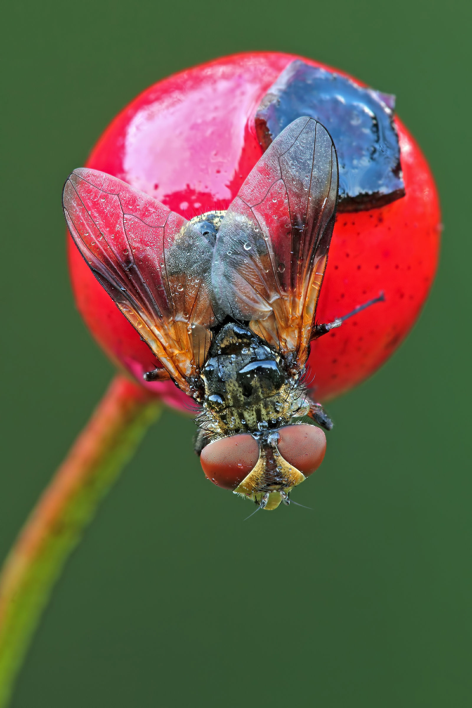 Un tocco di colore !