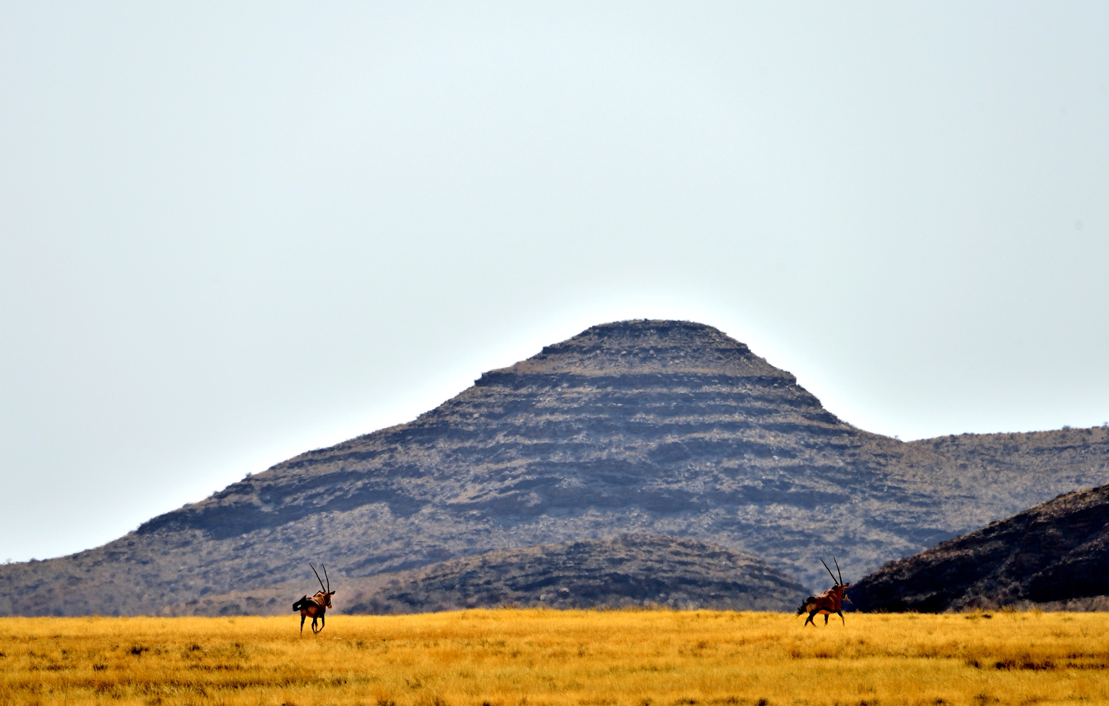 Kaokoland - Vicino Puros