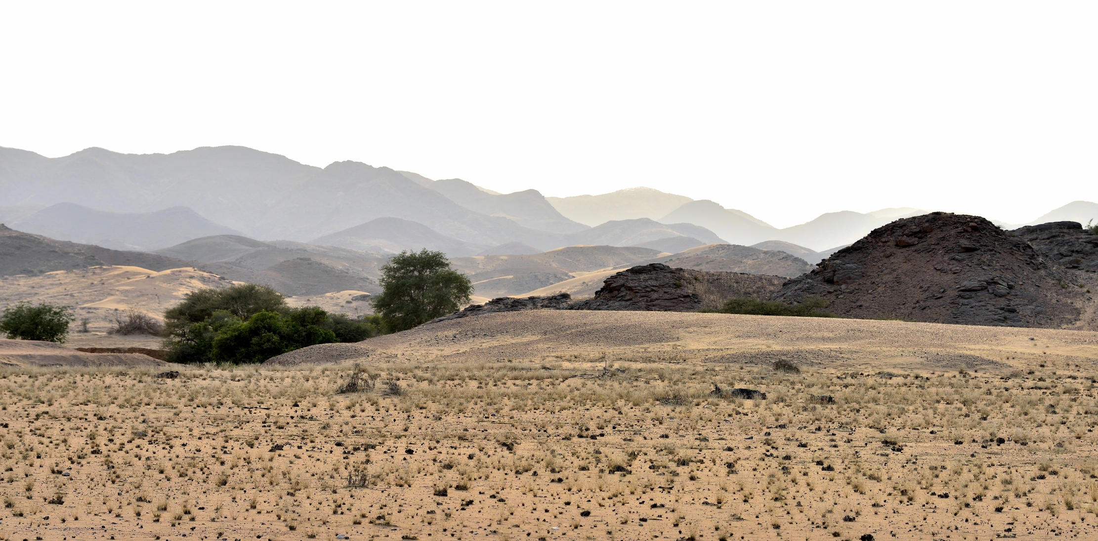 Deserto del Kaokoland